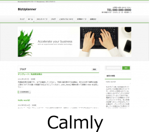 biz-calmly